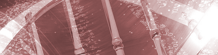 We have update our the journal!